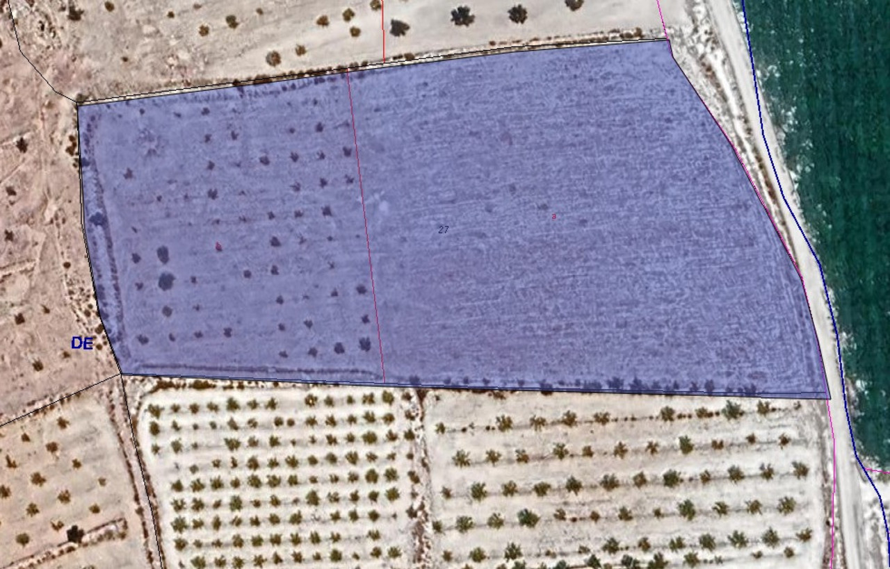 Plot for sale in Pinoso