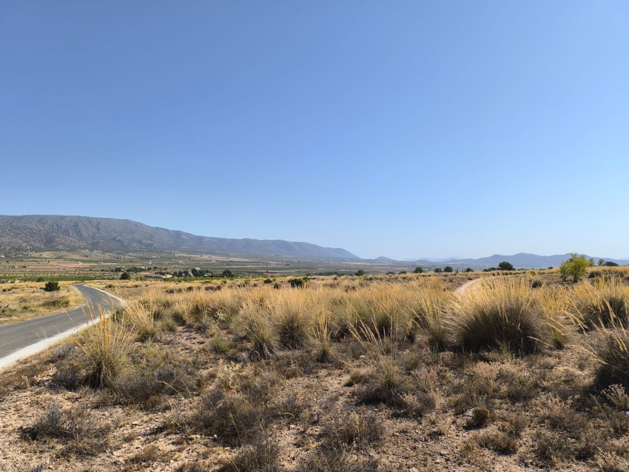Plot for sale in Lel