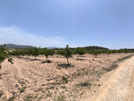 Plot te koop in Pinoso