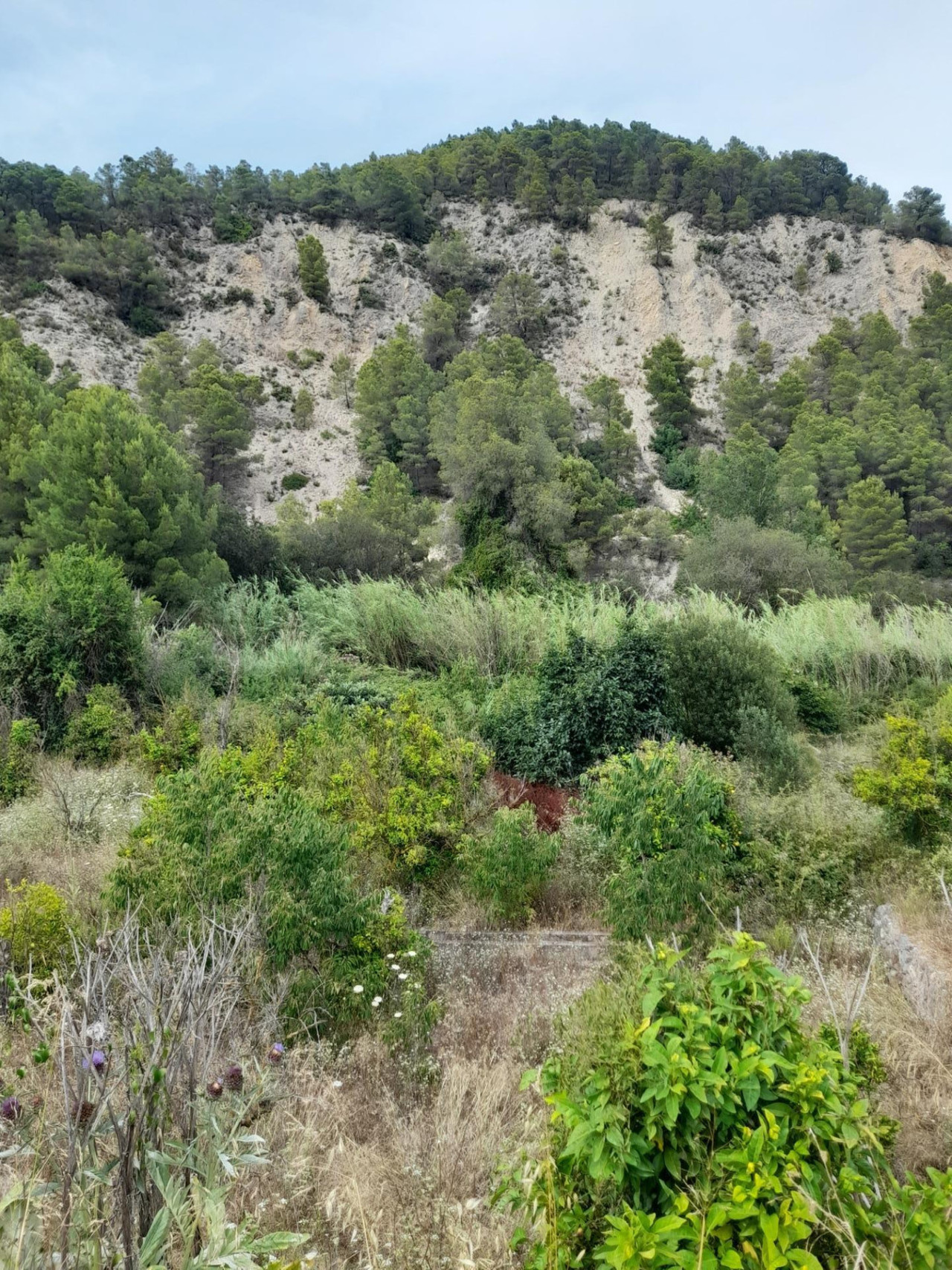 Plot for sale in Guadalest