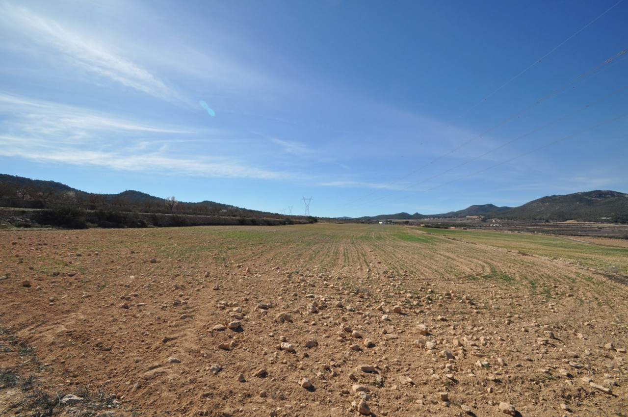 Plot for sale in Salinas