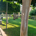 1 bedroom Apartment for sale in Benidorm