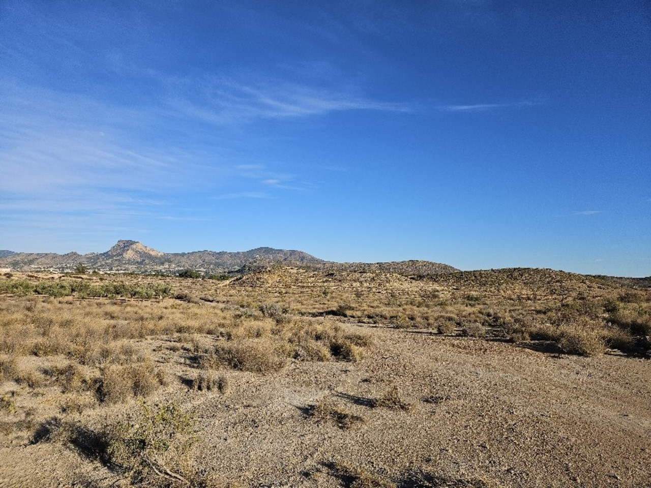 Plot for sale in Elda