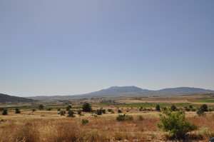 Plot for sale in Pinoso