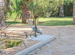 7 bedroom Villa te koop in Benidorm