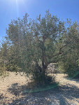 Plot te koop in Benissa