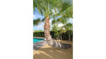 3 bedroom Villa te koop in Rojales