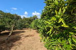 Участок для продажи в Denia