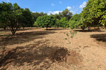 Участок для продажи в Denia