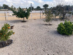 5 bedroom Villa te koop in Crevillent