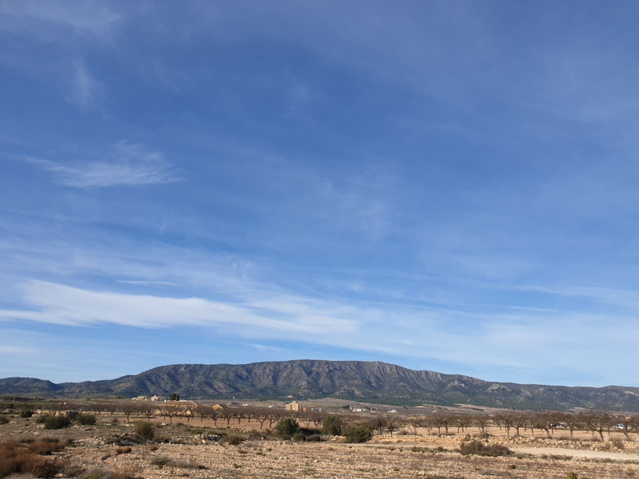 Plot for sale in Pinoso