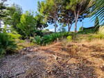 Plot for sale in l'Alfas del Pi