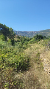 Plot for sale in Parcent