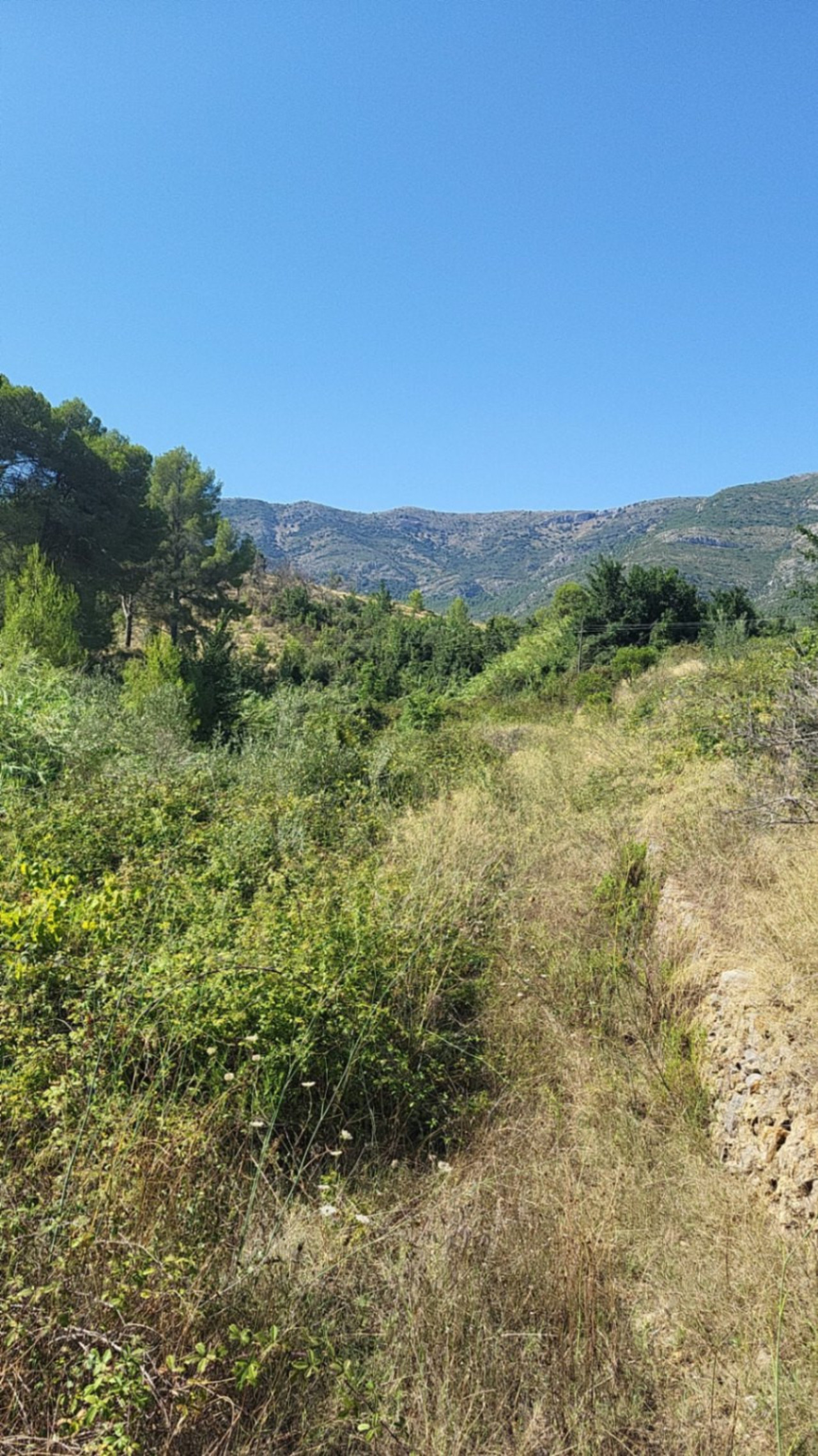 Plot for sale in Parcent