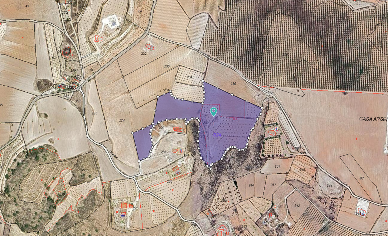 Plot for sale in Pinoso
