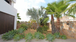 3 bedroom Villa te koop in Rojales