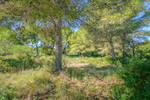 Plot for sale in Javea