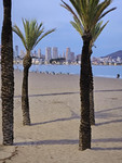 3 bedroom Apartment for sale in Benidorm