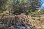 Участок для продажи в Denia