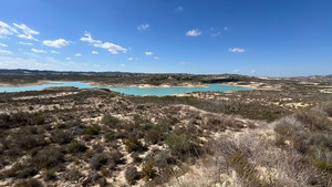 Plot for sale in Torremendo