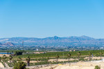 3 bedroom Villa te koop in Algorfa