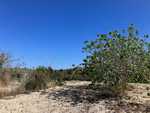 Plot te koop in Benissa