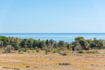 2 bedroom Appartement te koop in Punta Prima