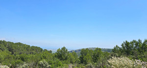 4 bedroom Plot for sale in Benidoleig