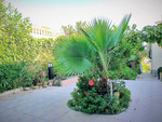 8 bedroom Villa te koop in Los Balcones