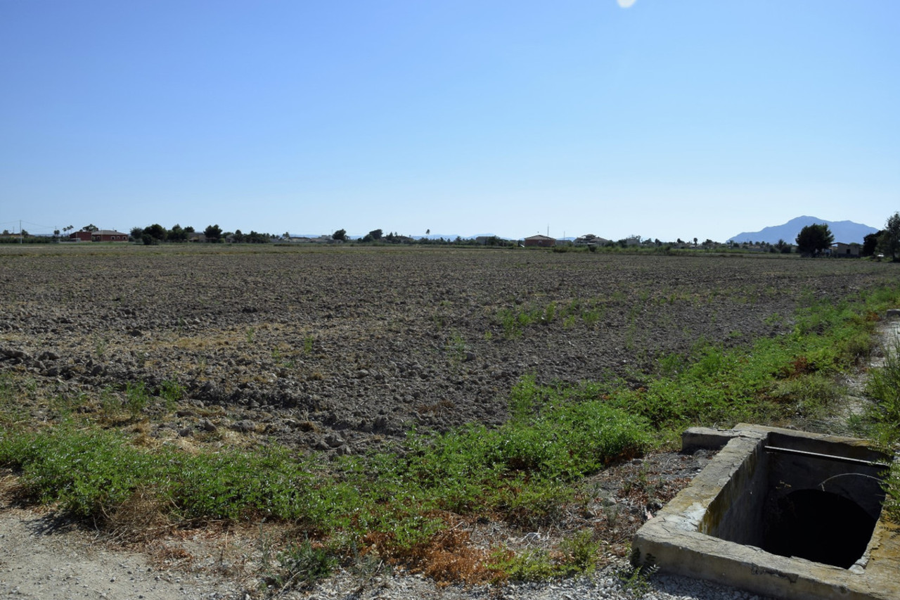 Plot for sale in Catral