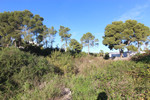 Участок для продажи в Moraira