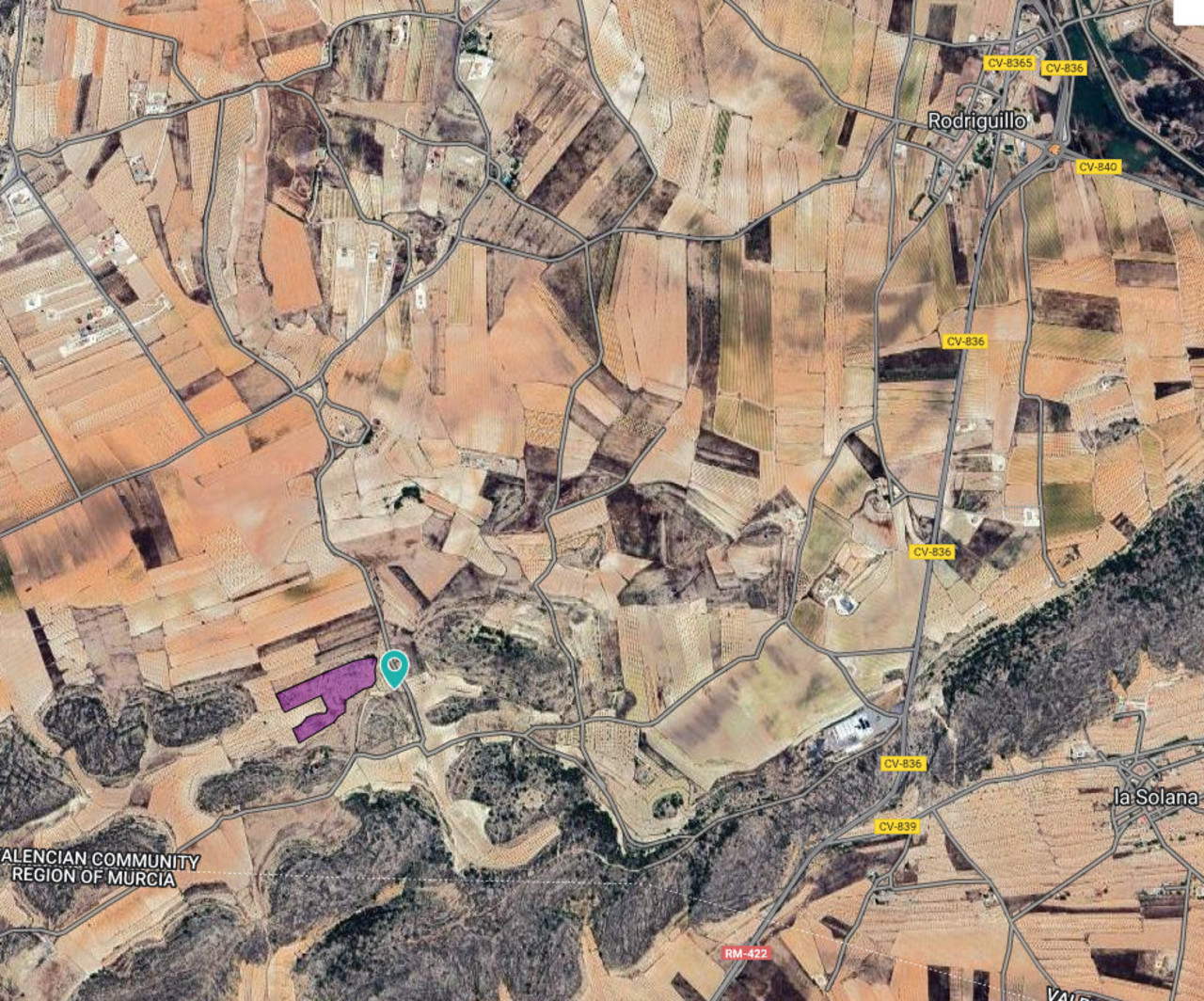 Plot for sale in Pinoso
