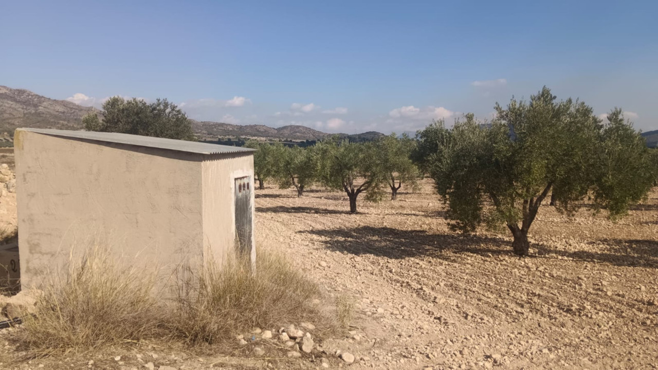 Plot for sale in Salinas