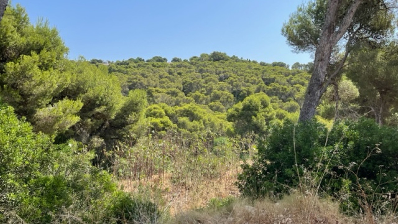 Plot for sale in Javea