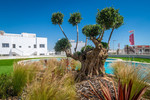 2 bedroom Appartement te koop in Torrevieja