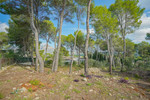 3 bedroom Plot for sale in Javea
