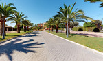 6 спальни Вилла для продажи в Elche