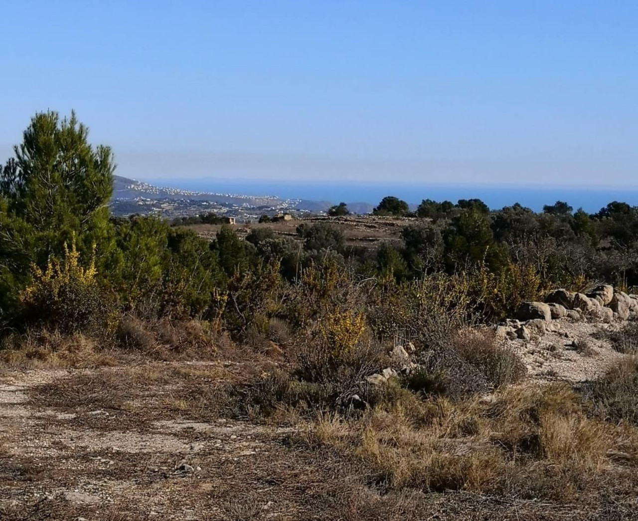 Plot for sale in Bernia
