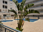 2 bedroom Apartment for sale in Almoradi