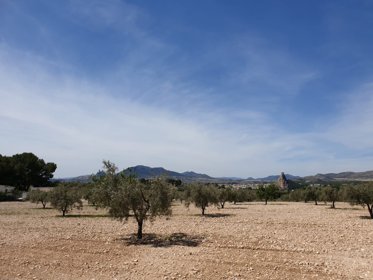 Plot for sale in Sax