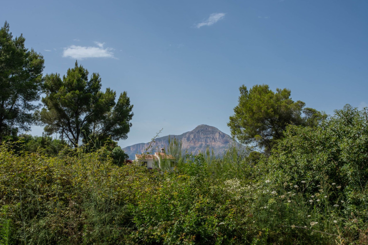 das Grundstück 
zum verkauf in Javea