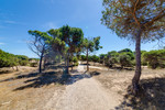 3 bedroom Appartement te koop in Guardamar del Segura