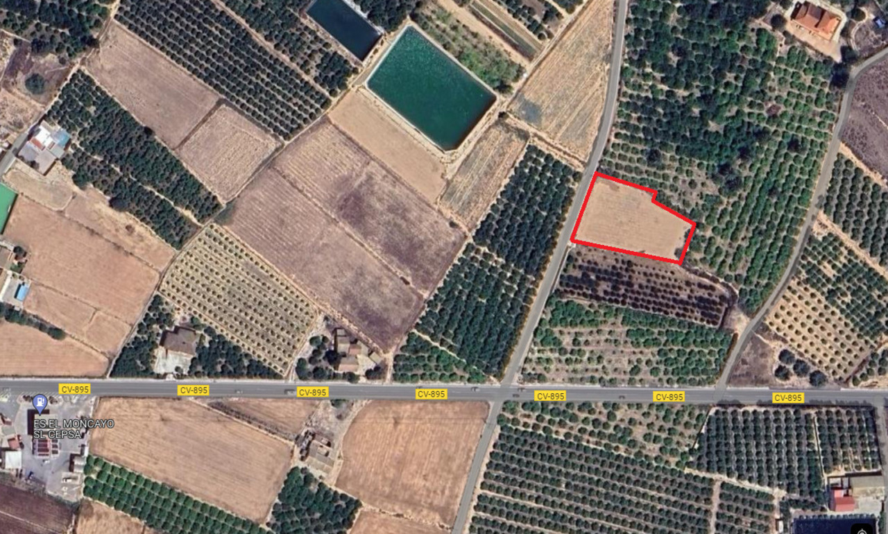 Parcelle à vendre à Guardamar del Segura