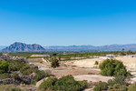 3 bedroom Villa te koop in Algorfa
