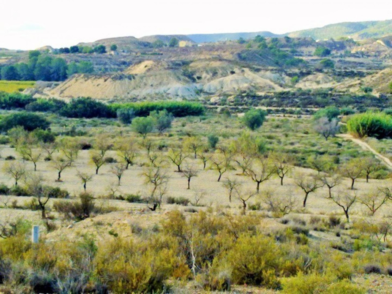 Plot for sale in Torremendo