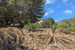 Участок для продажи в Denia
