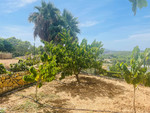 6 bedroom Villa te koop in Altea