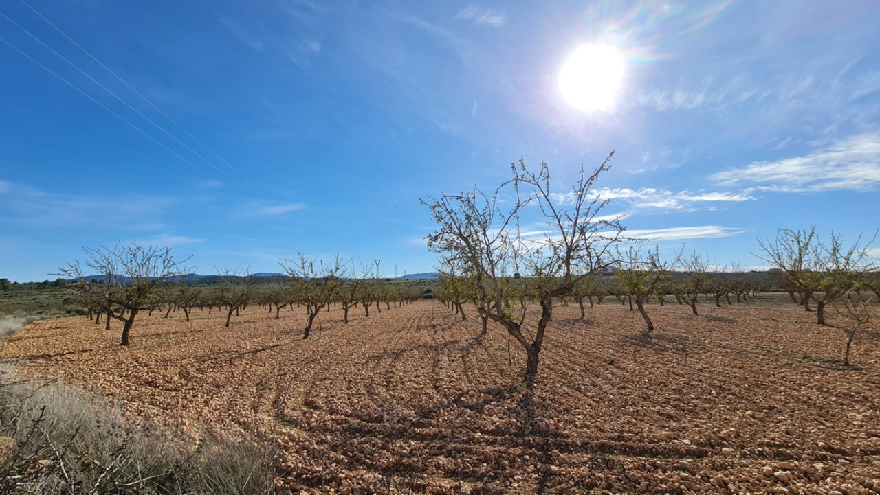 Parcelle à vendre à Lel