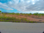 Plot for sale in Pinoso