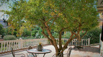 8 bedroom Villa te koop in Los Balcones